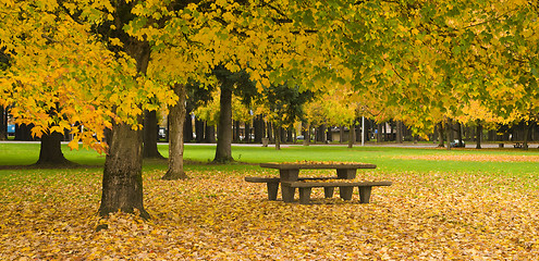 Image showing Rest Area Picnic Table Autumn Nature Season Leaves Falling