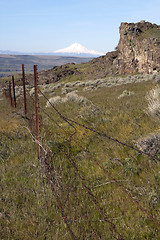 Image showing Vertical Composition Barbed Fence Rocky Ridge Sage Brush Mount H