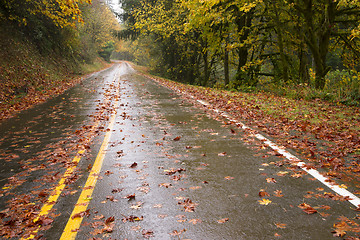 Image showing Wet Rainy Autumn Day Leaves Fall Two Lane Highway Travel