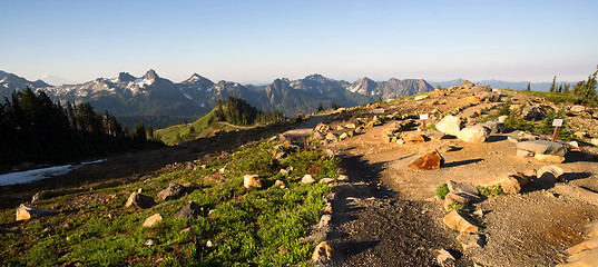 Image showing Paradise Mount Rainier Adams Mountain Tatoosh Range Washington S
