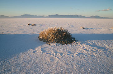 Image showing Bonneville Salt Flats Tooele County Utah Pleistocene Lake Sunset