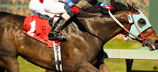 Image showing One Horse Rider Jockey Come Across Race Line Photo Finish