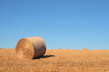 Image showing Hay Bale