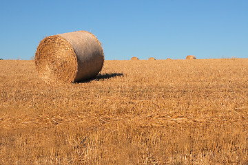 Image showing Hay Bale