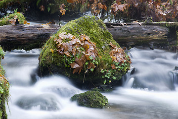 Image showing Long Exposure Water Flowing Down Stream Moss Covered Rocks