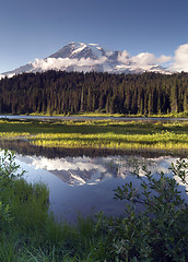 Image showing Saturated Color at Reflection Lake Mt. Rainier National Park Ver