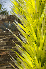 Image showing Chihuly Glass Instalation Desert Towers Desert Botanic Gardens P