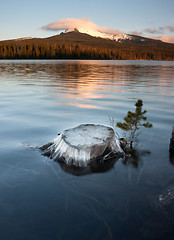 Image showing Partially Submerged Stump Lakefront Big Lake Mt Washington Orego