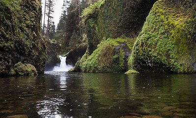 Image showing Standing in Water Punch Bowl Falls Columbia River Gorge