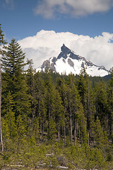 Image showing Big Cowhorn Mt. Thielsen Extinct Volcano Oregon Cascade Range Mo