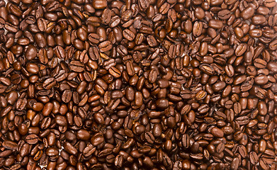 Image showing Dark Brown Roasted Coffee Seeds Beans Food Drink Ingredient