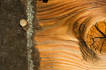 Image showing Knotty Pine Board Weathered Wood Asphalt Shingle Roofing Siding 