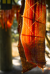 Image showing King Salmon Fish Meat Catch Hanging Native American Lodge Drying