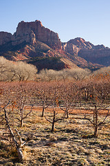 Image showing Sunrise High Mountain Buttes Zion National Park Desert Southwest