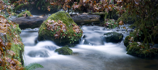 Image showing Long Exposure Water Flowing Down Stream Moss Covered Rocks