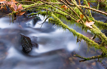 Image showing Waterfall on Trail Great Northwest Pacific Coast