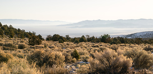 Image showing Looking Down Mountain Into Great Basin Nevada Desert Southwest