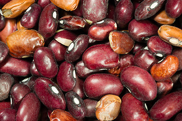 Image showing Pile of Dried Kidney Beans Dry Unrinsed Healthy Food Staple