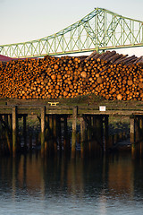 Image showing Log Pile Columbia River Pier Wood Export Timber Industry