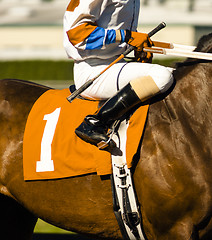 Image showing The Number One Horse Prepares to Enter the Start Gate at Horse T