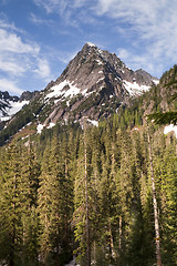 Image showing Fire Road Overlooks Sperry Peak North Cascade Mountain Range