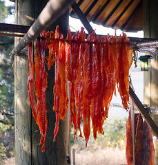 Image showing King Salmon Fish Meat Catch Hanging Native American Lodge Drying