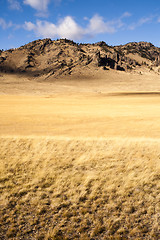 Image showing Yellow Grain Grassland Growing Scenic Valley Northern Rocky Moun