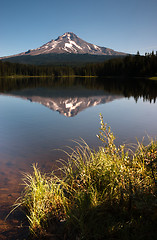 Image showing Calm Clear Water Trillium Lake Mount Hood Oregon State