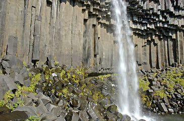 Image showing Svartifoss waterfall