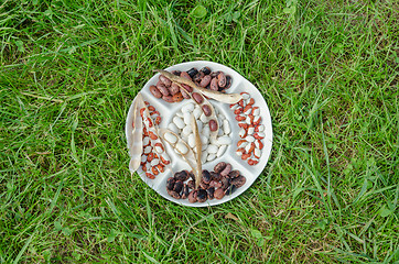 Image showing dried bean mix in plate on green grass background  