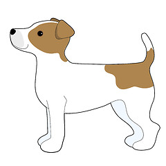 Image showing  Jack Russell Terrier