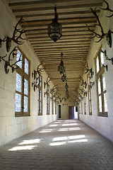 Image showing Corridor displaying hunting trophys, Chateau de chambord, loire valley, france