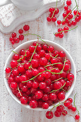 Image showing Red currant