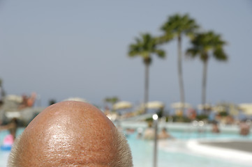 Image showing Bald headed man on vacation