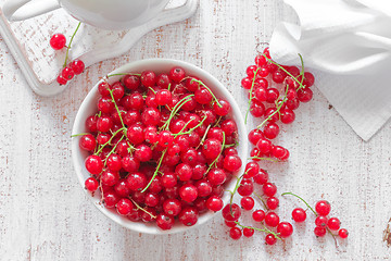 Image showing Red currant