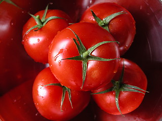 Image showing tomatoes