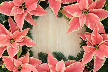 Image showing Poinsettia Flower Border