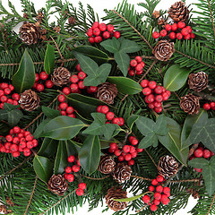 Image showing Christmas Flora