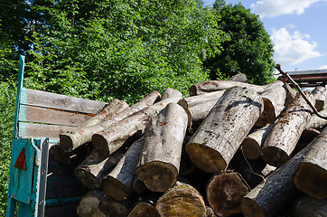 Image showing pile of cut logs in trailer, forest seasonal work  