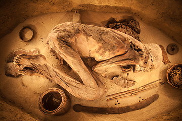 Image showing Egyptian mummy