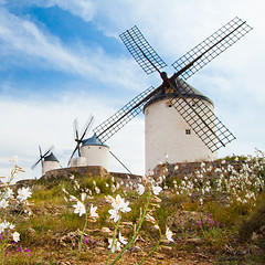 Image showing Vintage windmills in La Mancha.