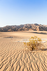 Image showing Death Valley Desert