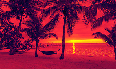 Image showing palm trees and hammock on tropical beach