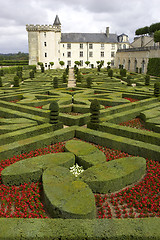 Image showing Formal gardens at chateau, de, villandry, loire, valley, france