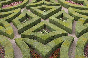 Image showing Formal gardens at chateau, de, villandry, loire, valley, france