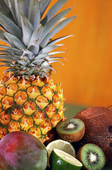 Image showing Tropical Fruit Background