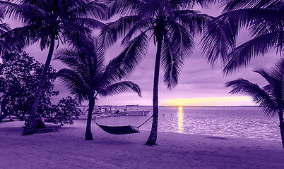 Image showing palm trees and hammock on tropical beach