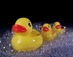 Image showing Three Rubber Ducks in Soap Suds