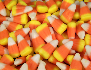 Image showing Full Frame Photo of Candy Corn