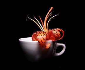 Image showing Single Tiger Lily In A White Porcelain Cup